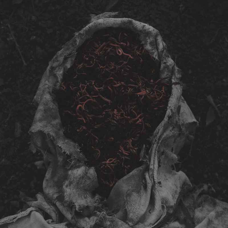 GORRCH - Stillamentum DIGI